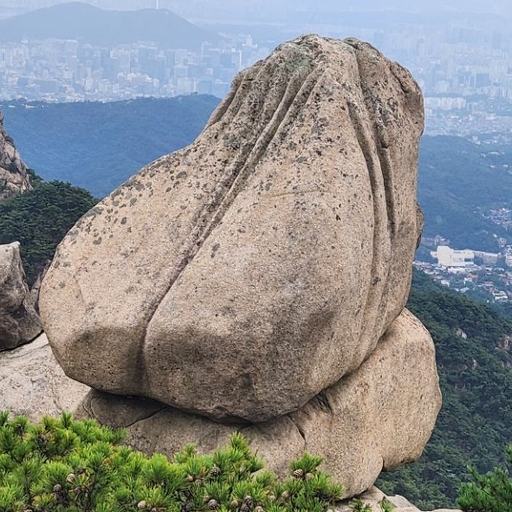 피드 이미지