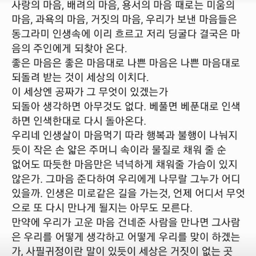 피드 이미지