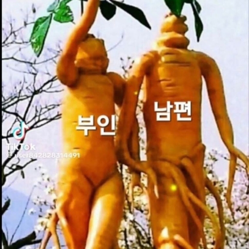 피드 이미지