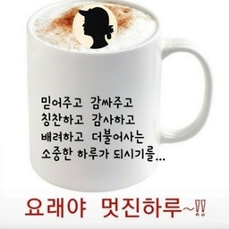 피드에 업로드 된 이미지