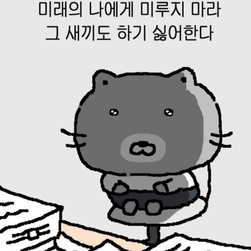 피드 이미지