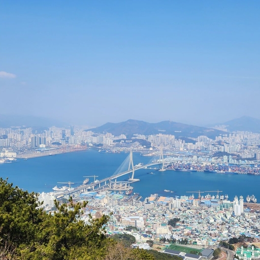 피드 이미지