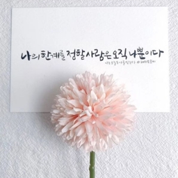 피드에 업로드 된 이미지