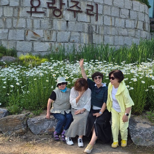 피드 이미지