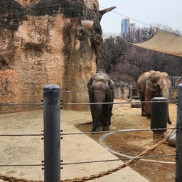 피드에 업로드 된 이미지