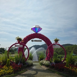 피드에 업로드 된 이미지