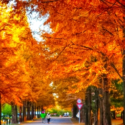 공지사항에 업로드 된 이미지