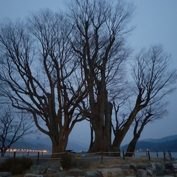 피드에 업로드 된 이미지