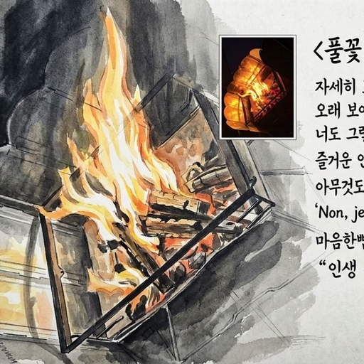 피드 이미지