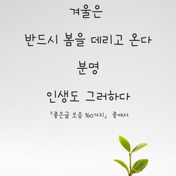 ํผ๋์ ์
๋ก๋ ๋ ์ด๋ฏธ์ง