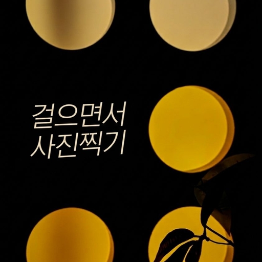 피드 이미지