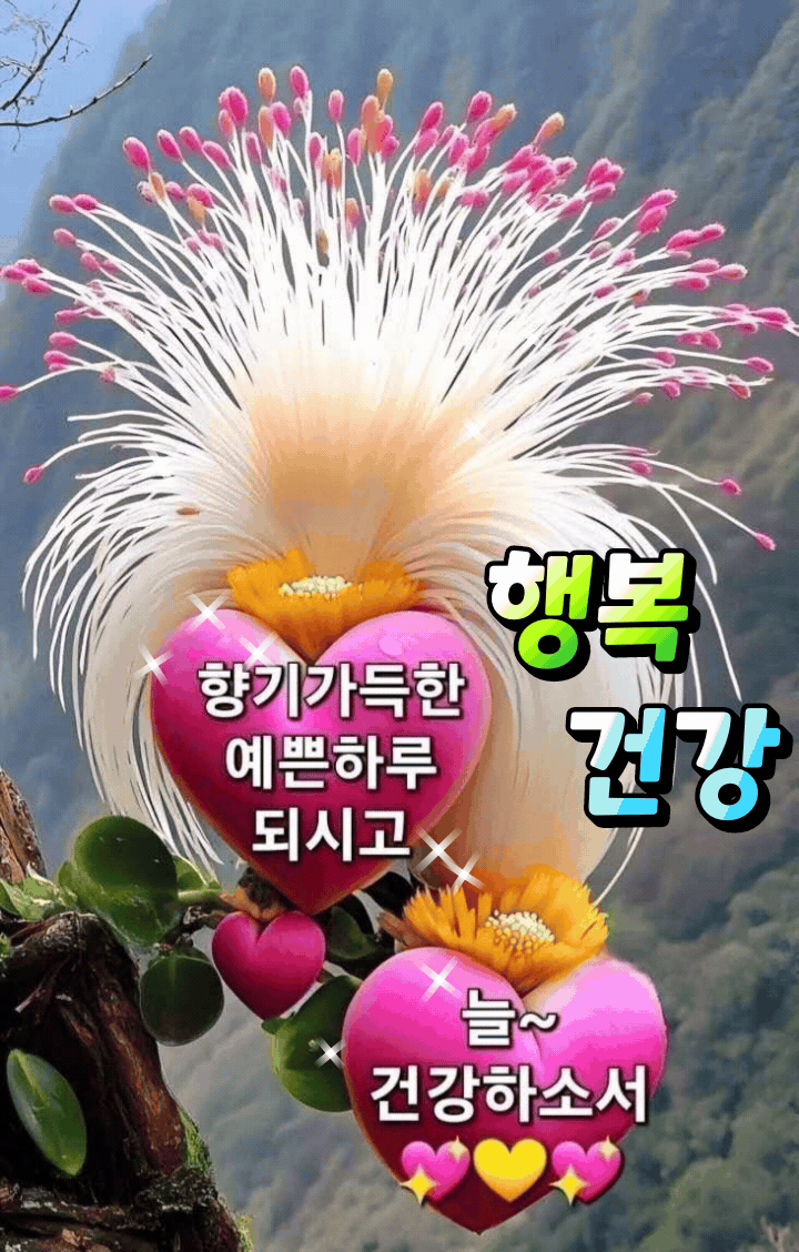 ํผ๋์ ์
๋ก๋ ๋ ์ด๋ฏธ์ง