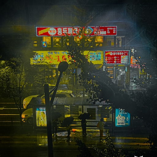 피드 이미지