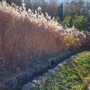 피드 작성자 프로필