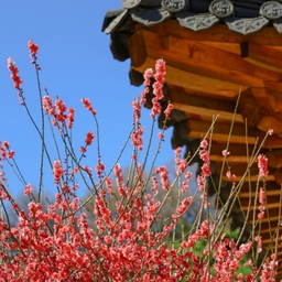 피드에 업로드 된 이미지