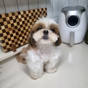 멤버 프로필
