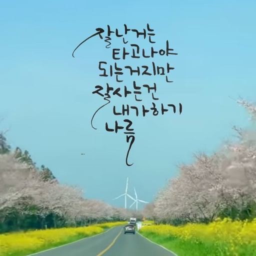 피드 이미지