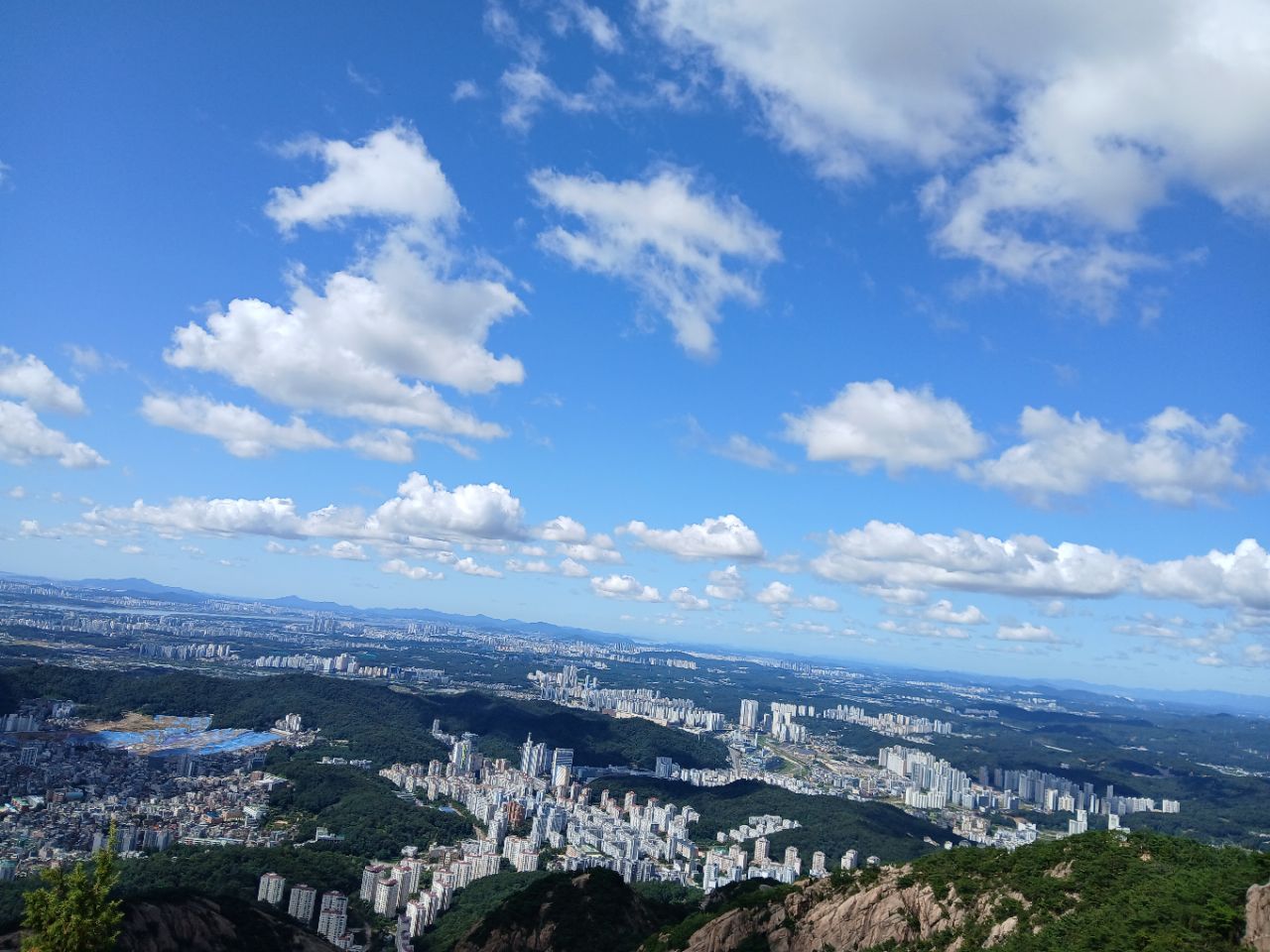 피드 이미지
