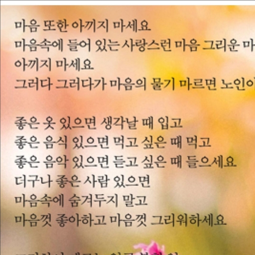 피드 이미지