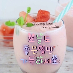 피드에 업로드 된 이미지