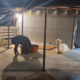 피드에 업로드 된 이미지