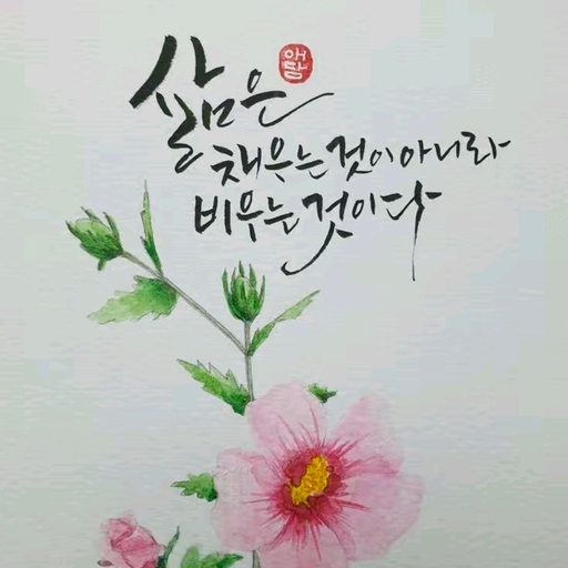 피드 이미지