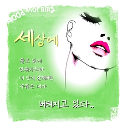 피드에 업로드 된 이미지