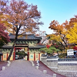 피드에 업로드 된 이미지