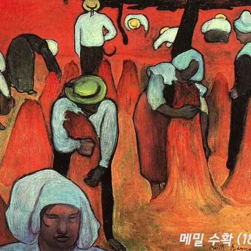 피드 이미지