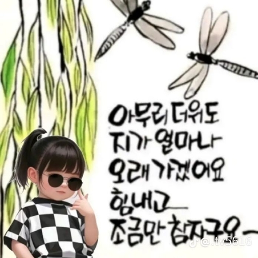 피드 이미지
