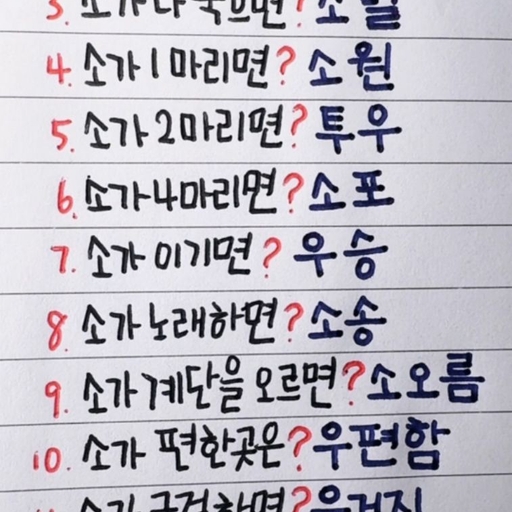 피드 이미지