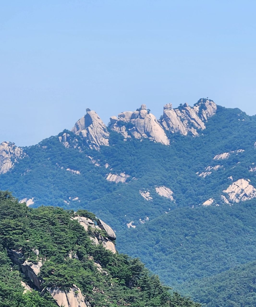 피드 이미지