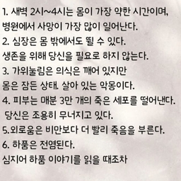 피드에 업로드 된 이미지