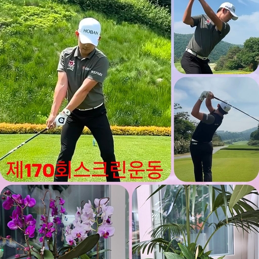 피드 이미지