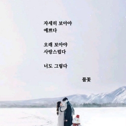 피드에 업로드 된 이미지