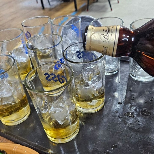 피드 이미지