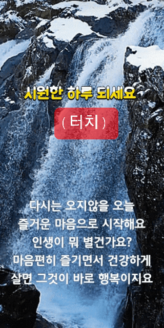 피드에 업로드 된 이미지
