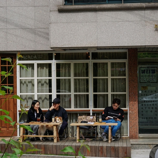 피드 이미지