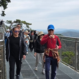 피드에 업로드 된 이미지