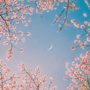 모임 이미지