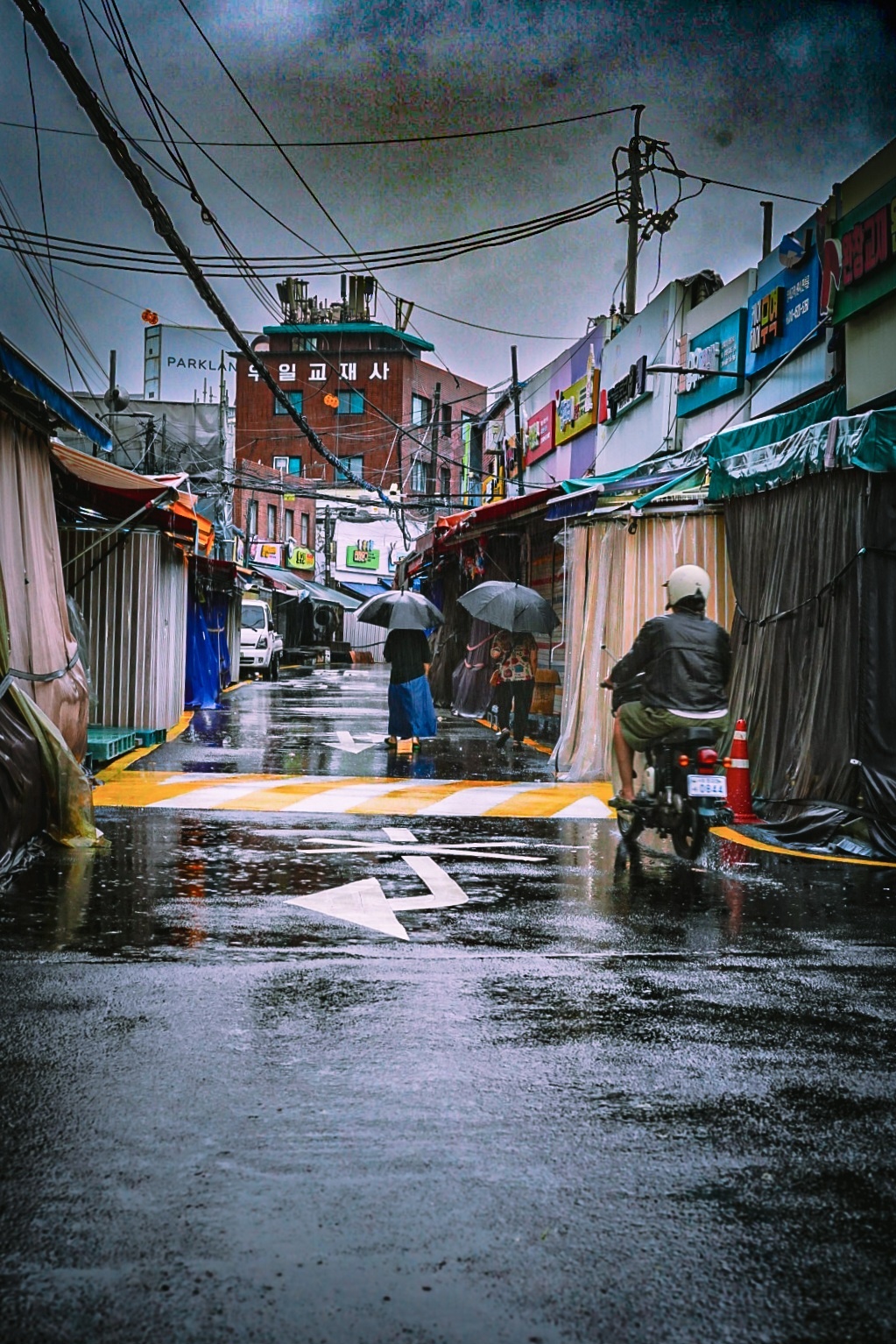 피드 이미지