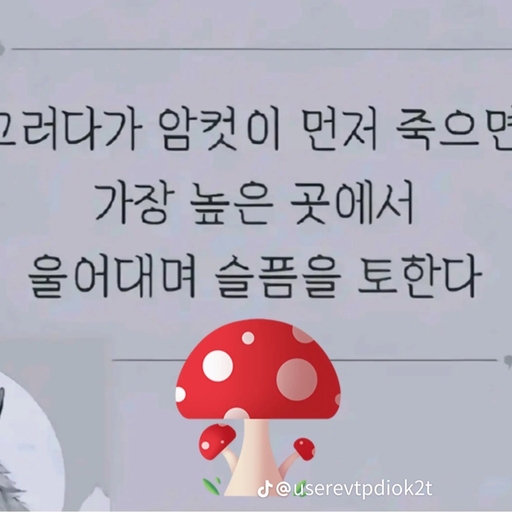 피드 이미지