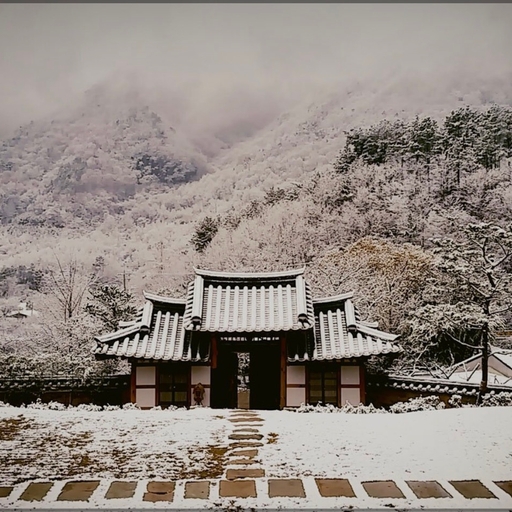 피드 이미지