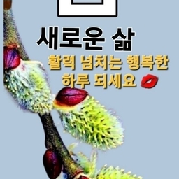 피드에 업로드 된 이미지