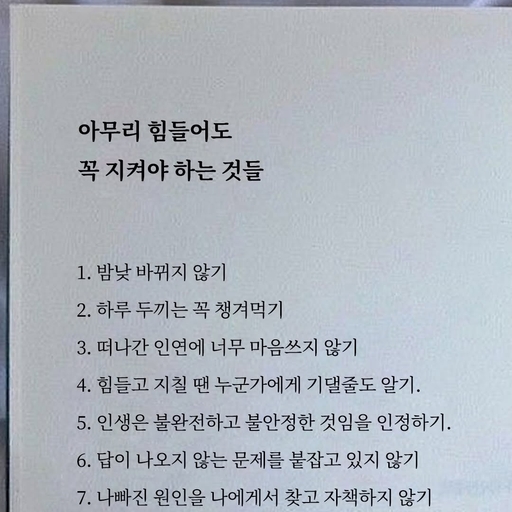 피드 이미지