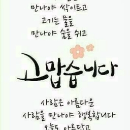피드에 업로드 된 이미지