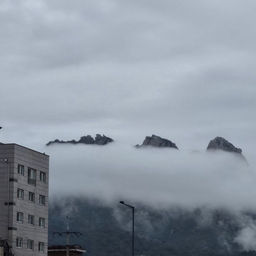 피드에 업로드 된 이미지