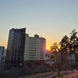 피드에 업로드 된 이미지