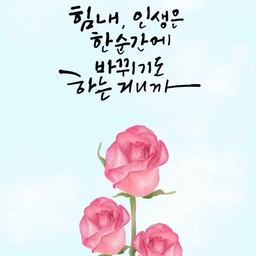 피드에 업로드 된 이미지
