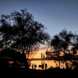 피드에 업로드 된 이미지